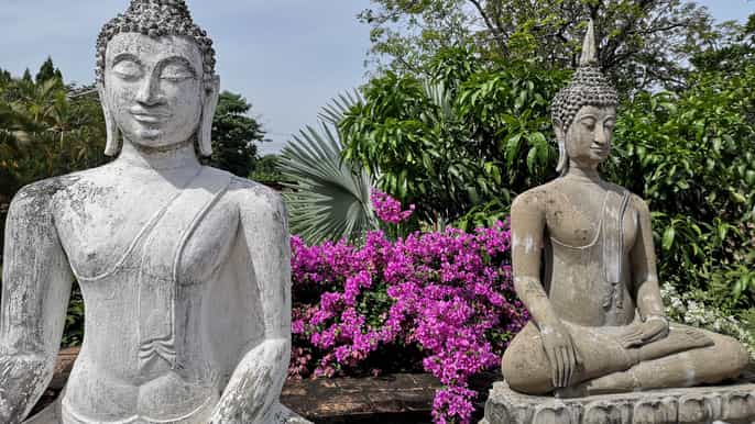 tour privado a los templos de ayutthaya y ecogranja desde bangkok