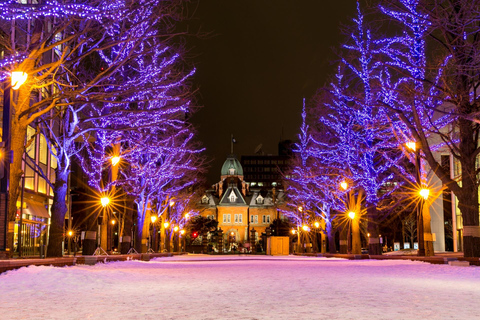 Sapporo: Illuminated Landmarks and TV Tower Night View Tour