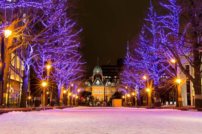 Sapporo: Illuminated Landmarks and TV Tower Night View Tour