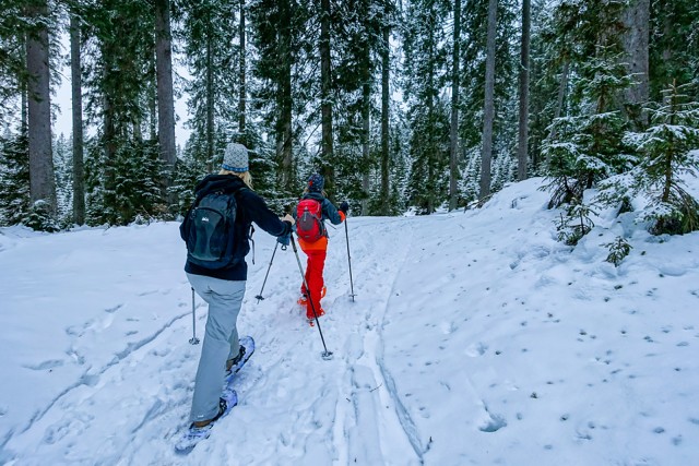 Visit Snowshoeing in Triglav National Park in Jesenice