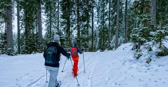 Schneeschuhwandern im Triglav-Nationalpark