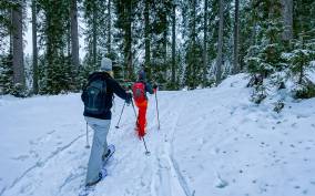 Snowshoeing in Triglav National Park