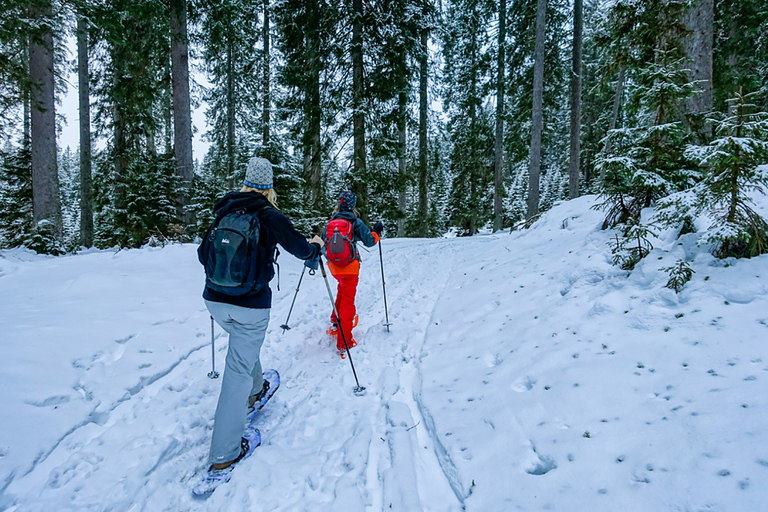 Snowshoeing in Triglav National Park