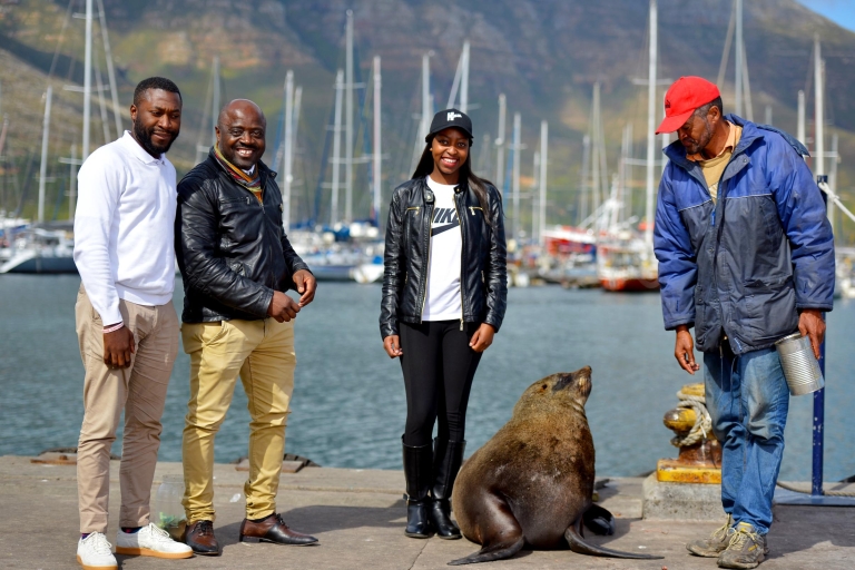 Cape Town: visite privée d'une journée au Cap de Bonne-EspéranceLe Cap : d'excursion privée au Cap de Bonne-Espérance