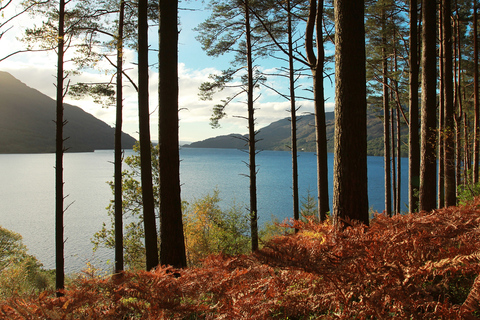 From Glasgow: Stirling Castle &amp; Loch Lomond Tour with Cruise