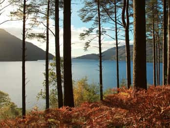 Ab Glasgow: Stirling Castle, Loch Lomond und Whisky-Tour Ab Glasgow: Stirling Castle, Loch Lomond und Whisky-Tour