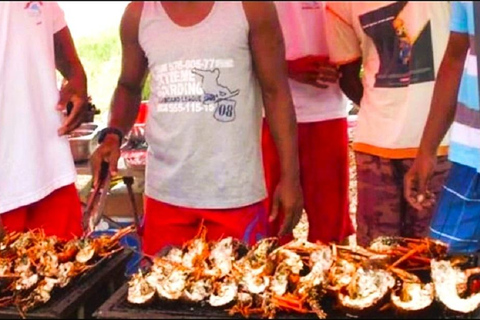 Île aux Bénitiers: Catamarantocht met dolfijnen kijken & lunch