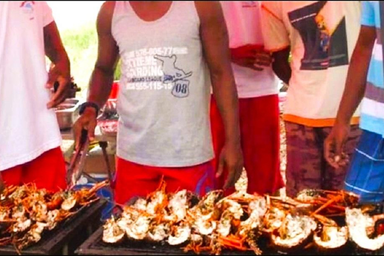 Île aux Bénitiers: Katamaran-Tour mit Delfinbeobachtung und Mittagessen