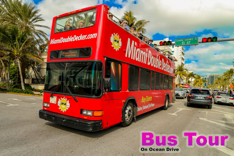 迈阿密：大沼泽地公园、巴士观光与游艇巡游迈阿密：大沼泽地公园、巴士观光与游艇之旅