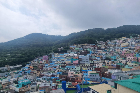 Busan: Private Tour- Yongung Temple, Bamboo Forest, Sky Walk