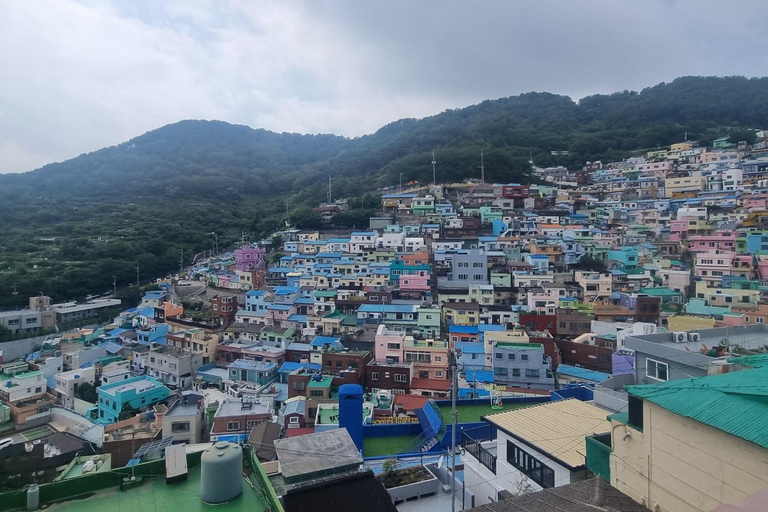 Busan: Private Tour- Yongung Temple, Bamboo Forest, Sky Walk
