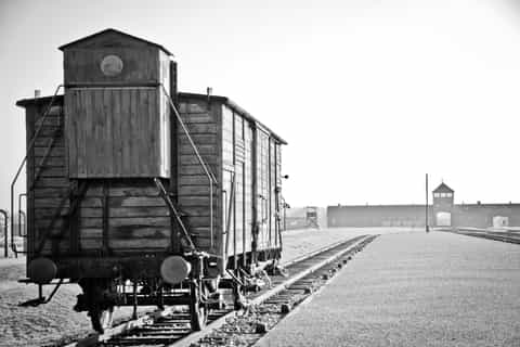 Memorial and Museum Auschwitz-Birkenau: Private Day Tour