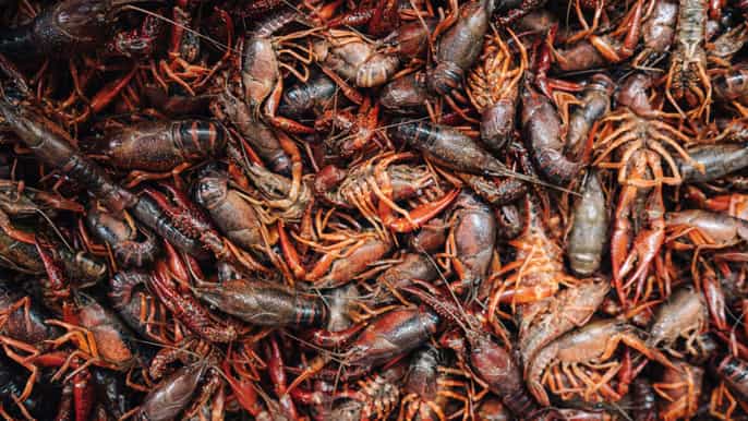 tour gastronomico del quartiere francese di new orleans