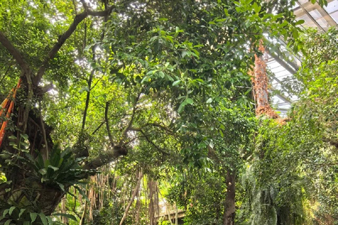 Guangzhou: Pass to the South China Botanical Garden and Greenhouses