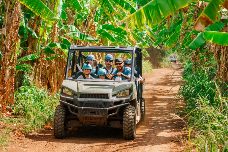 Oahu: North Shore Zip Line Abenteuer mit Farm TourZipline: Option ohne Transfer (Treffpunkt)