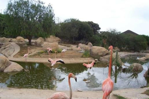 From Monastir & More: Friguia Wildlife Park with Entry From Sousse : Friguia Wildlife Park