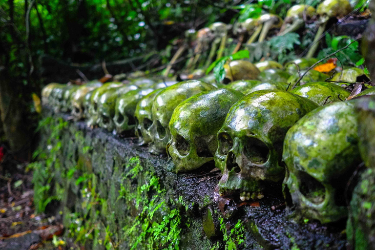 Bali: tocht langs mystieke rituelen en de Kehen Tempel