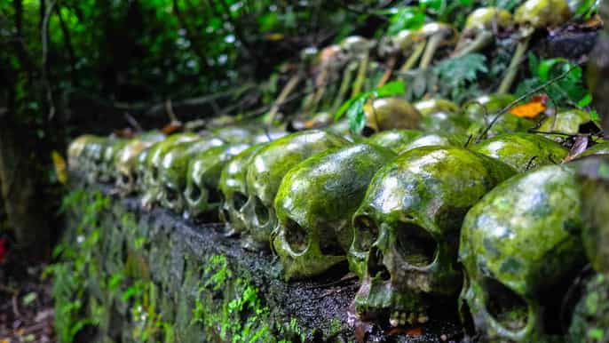 balinese mystic and rituals tour with kehen temple