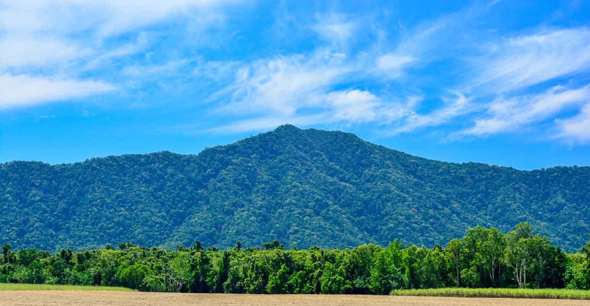Daintree, Mossman Gorge & Cape Trib Tour with Cruise & Lunch