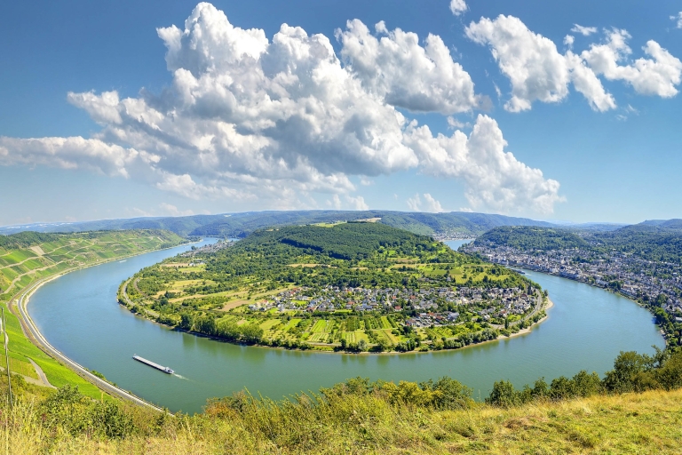 From Frankfurt: Rhine Valley Day Trip