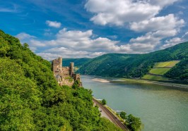 What to do in Frankfurt/Main - From Frankfurt: Rhine Valley Day Trip