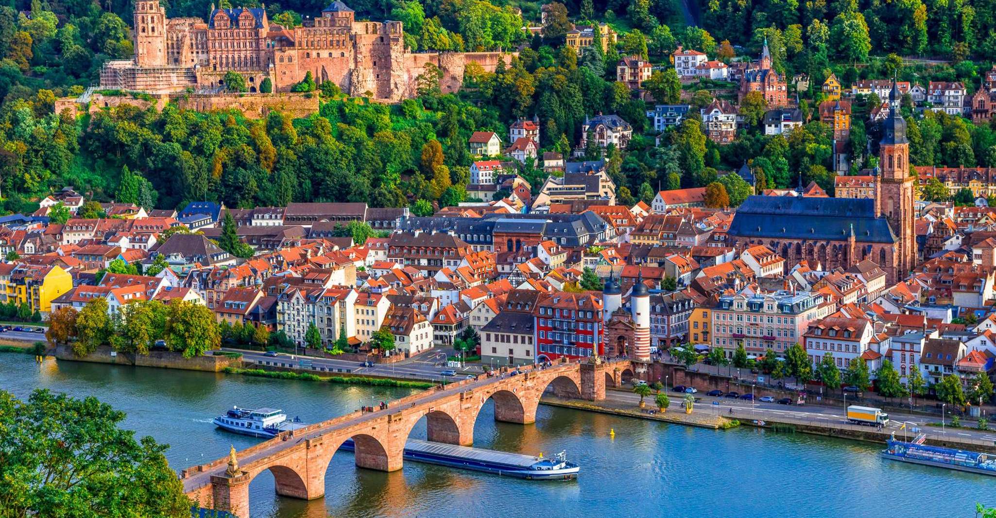 From Frankfurt: Heidelberg, Castle and Old City Guided Tour