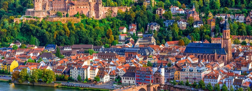 Da Francoforte: Heidelberg, Castello e centro storico tour guidato della città