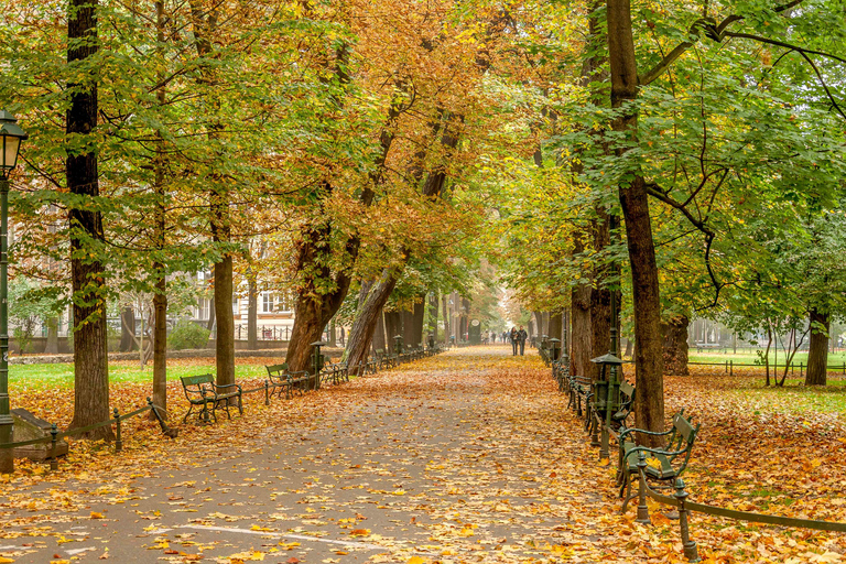 Krakow: Old Town Guided Walking Tour