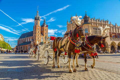 Cracovia: tour a piedi guidato della Città Vecchia