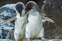 Christchurch International Antarctic Center Entry Tickets - Housity
