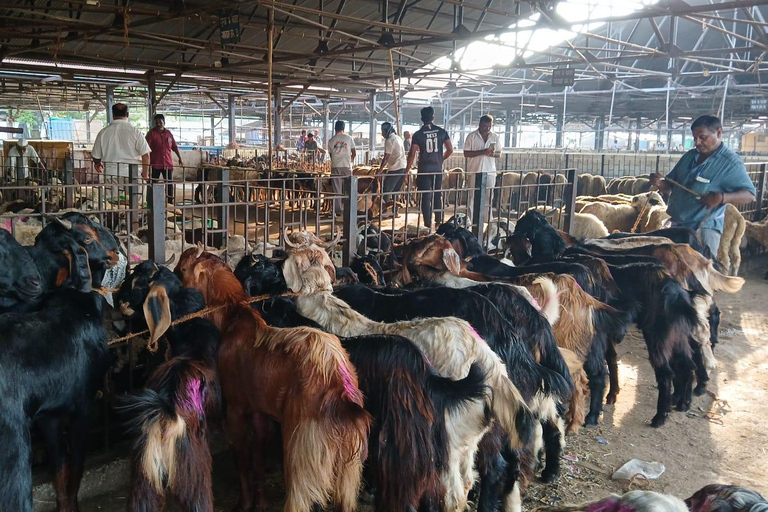 Bombay: Visita guiada al Matadero de Deonar