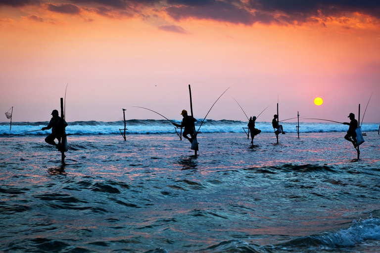 Excursão de um dia a Galle e Bentota saindo de Colombo