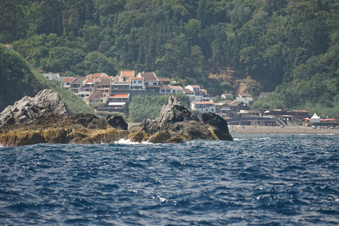 圣米格尔岛：火山奇观、洞穴与历史游船之旅