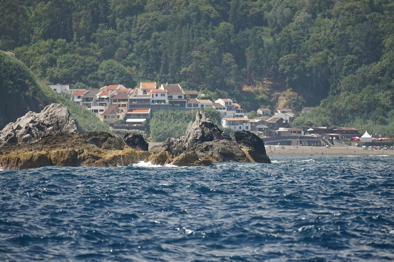 圣米格尔岛：火山奇观、洞穴与历史游船之旅