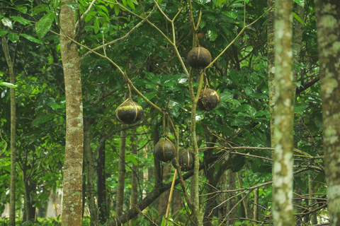 Bali : découverte du mysticisme balinais et temple de Kehen