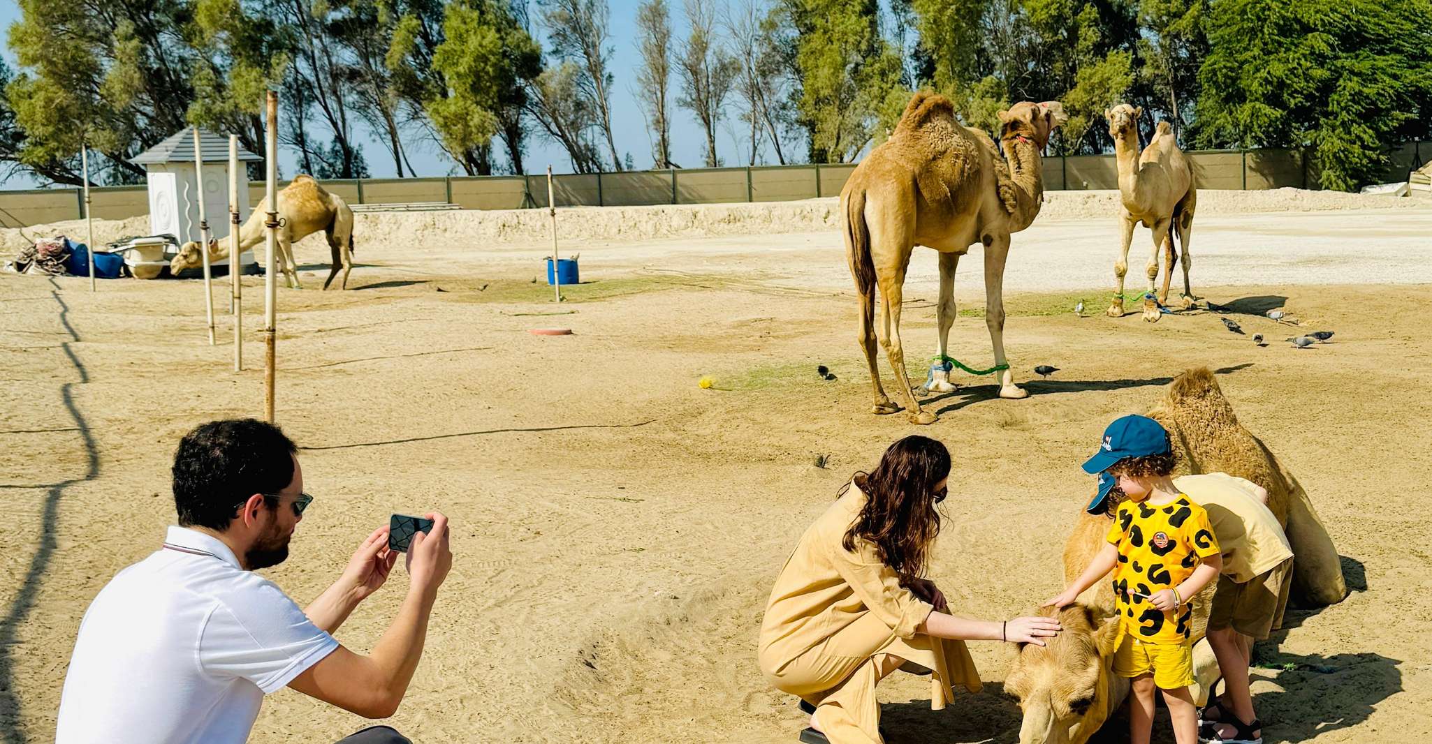 Around Bahrain For AIDAprima Tourists Shared Tour 5H photo 10