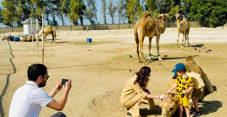 Around Bahrain For AIDAprima Tourists Shared Tour 5H photo 10