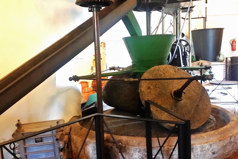 Costa del Sol: Private Tour to Ojen Ojen: Private Half-Day Tour from Marbella or Mijas