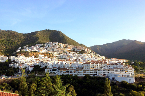 Costa del Sol: Private Tour to Ojen Ojen: Private Half-Day Tour from Marbella or Mijas