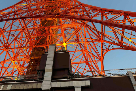 Tokio : Ganztagestour mit Buffet-Mittagessen und TeezeremonieTokio Abreise