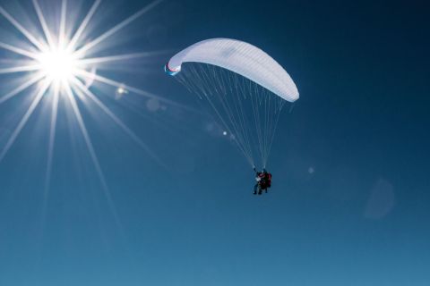 Davos: Tandem Paragliding Experience