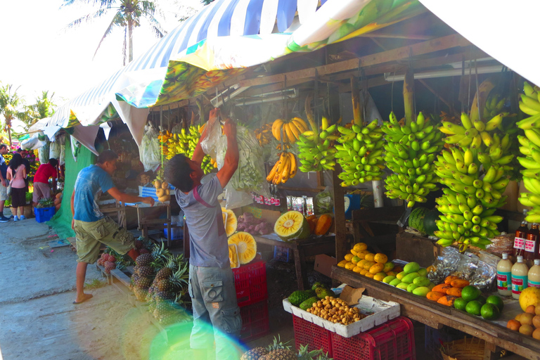 Da Manila: tour del vulcano Taal e delle cascate nascoste