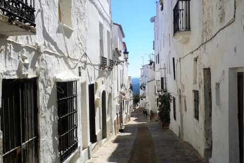 De la Costa del Sol: visite privée de CasaresCasares : visite privée de Malaga ou Ronda