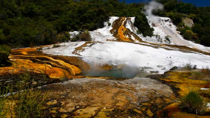 waikato river jet boat ride and geothermal safari