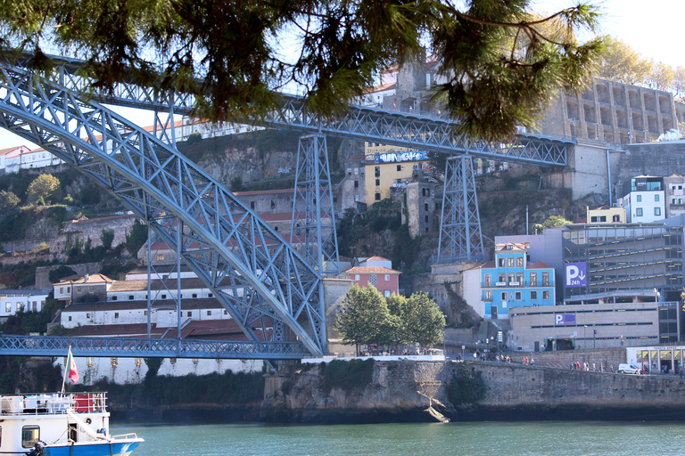 Porto: tour della città a piedi di 3 ore e visita alla libreria LelloOpzione standard