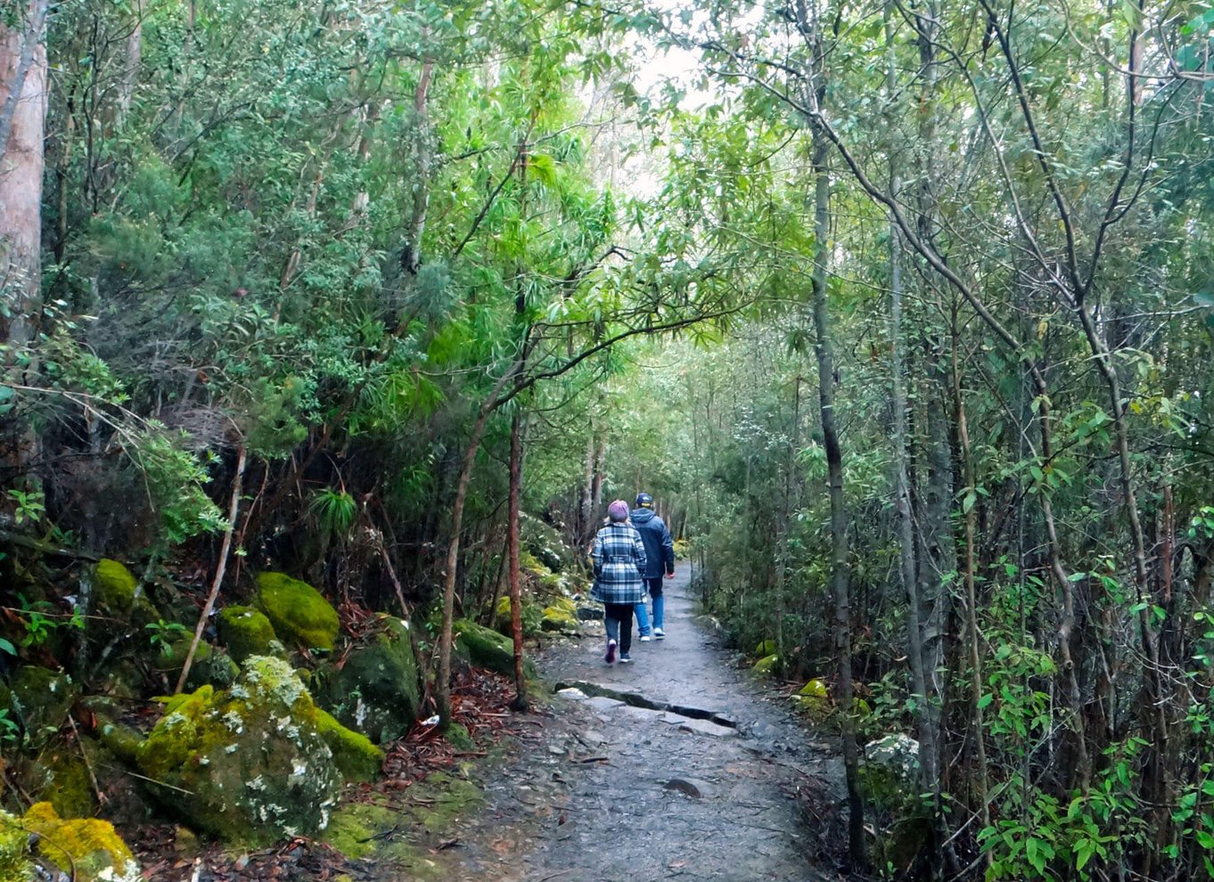 Hobart: kunanyi/Mt Wellington Explorer Bus Pass