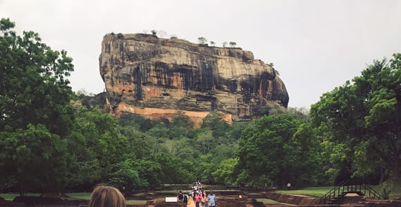 Ab Colombo: Tagestour nach Sigiriya und Dambulla mit Safari