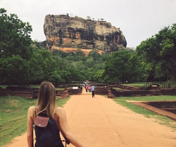 Da Colombo: Escursione e safari di un giorno a Sigiriya e Dambulla