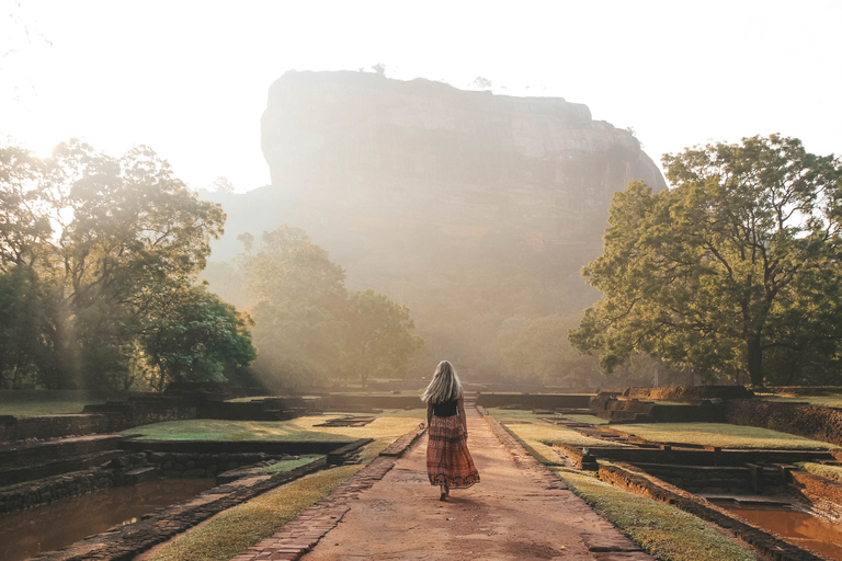 Private Sigiriya und Dambulla Tagestour ab Galle