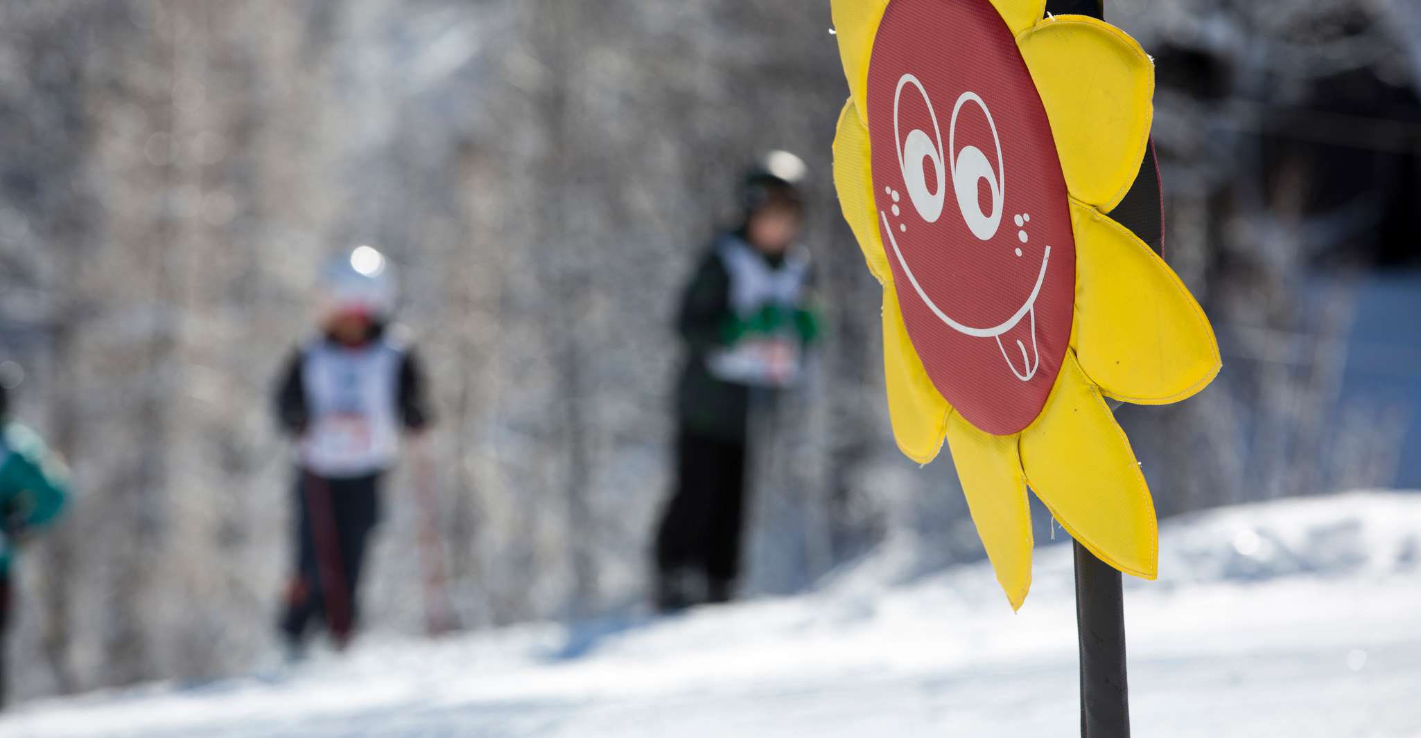 Half-Day Skiing with Instructor in Vogel Ski Center - Housity